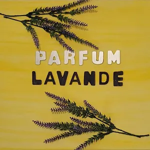  Appartement Parfum Lavande France